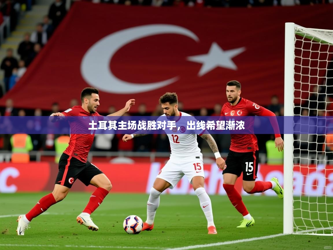 土耳其主场战胜对手,出线希望渐浓 土耳其主场战胜对手,出线希望渐浓