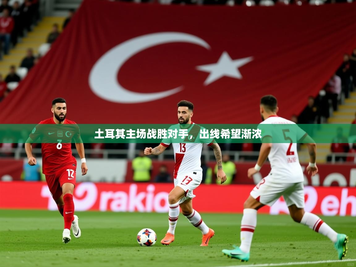 土耳其主场战胜对手,出线希望渐浓 土耳其主场战胜对手,出线希望渐浓