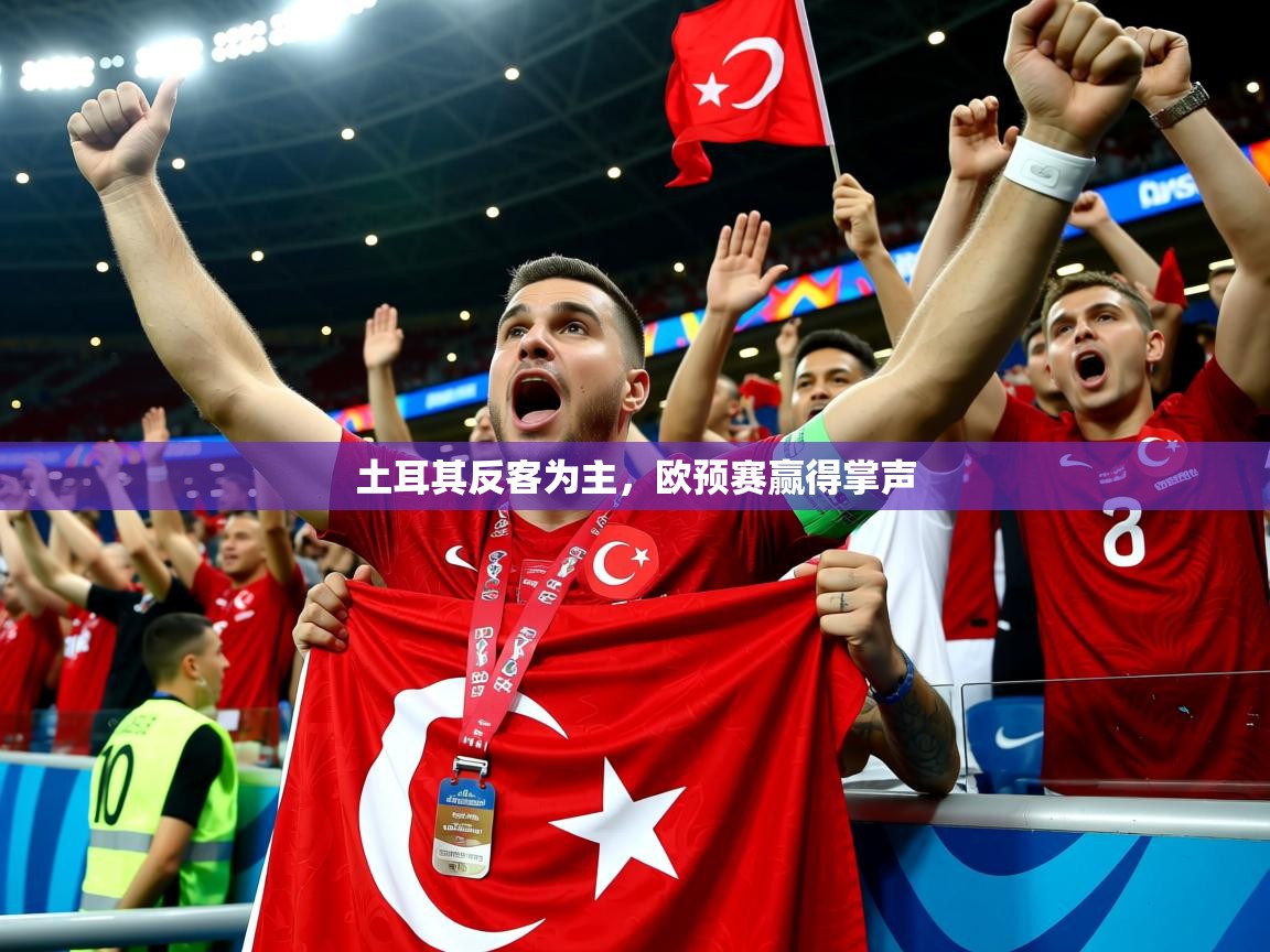 土耳其反客为主,欧预赛赢得掌声 土耳其反客为主,欧预赛赢得掌声