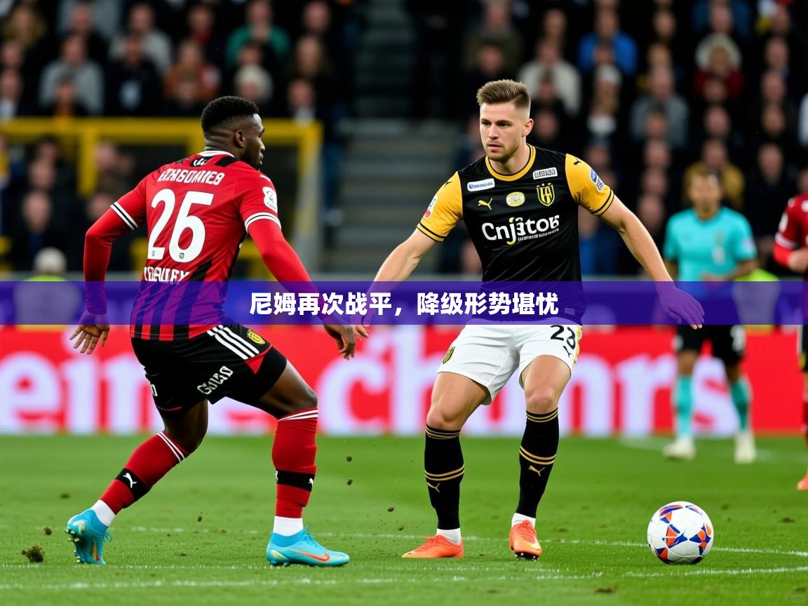 尼姆再次战平，降级形势堪忧